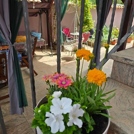 Malinsummer Malinska