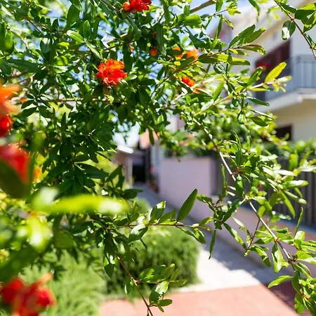 Apartmán Malinsummer Malinska